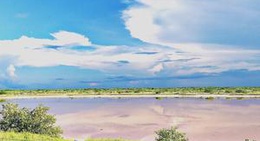 obrázek - manglares de san crisanto