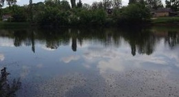 obrázek - Парк графа Ревуцкогого