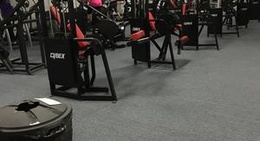 obrázek - Independent Fitness