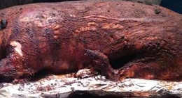 obrázek - Lost Paddle Bar & Grill