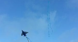 obrázek - Grayland Beach State Park