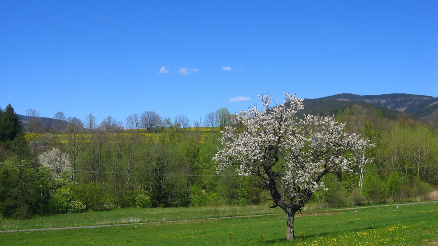Chalupa Dolní Morava s privátní saunou - Za chalupou - Za chalupou