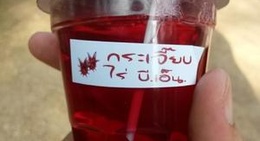 obrázek - B.N. Farm