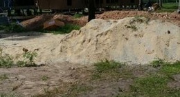 obrázek - Chandra de libong