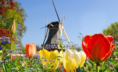 obrázek - Zájezd do Amsterdamu a květinového ráje