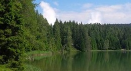 obrázek - Lago di Tret / Felixer Weiher / Lago di Santa Maria (Lago di Santa Maria / Lago di Tret)