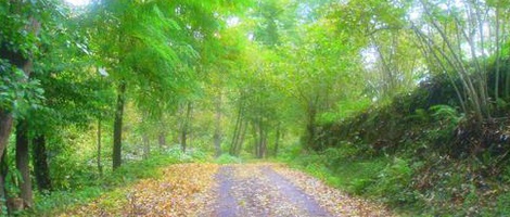 obrázek - Bostancı