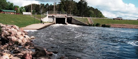 obrázek - Pine River