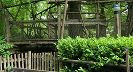 obrázek - Village Square Playground