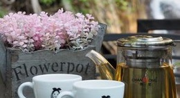 obrázek - Ted du coffee