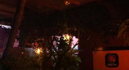 obrázek - AdoBe Pizza