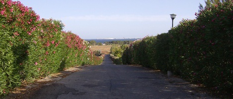 obrázek - Baia Di Gallipoli