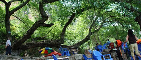 obrázek - Chengjiang