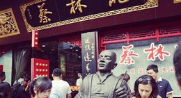 obrázek - 蔡林记