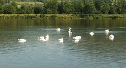 obrázek - Strkoviska Predmier