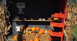 obrázek - Westwind Orchard