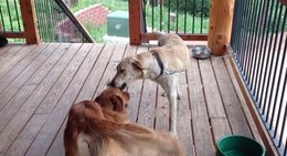 obrázek - Eagle Lake Camp