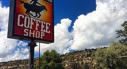 obrázek - The Pony Expresso