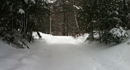 obrázek - Belgrade Lake Four Season Cottages