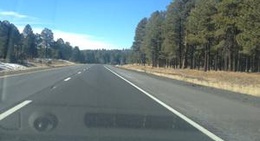 obrázek - Kaibab National Forest