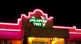 obrázek - Jalapeno Tree