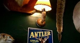 obrázek - The Antlers