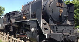 obrázek - Noshi Park (農試公園)