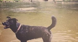 obrázek - Bromley Rock Provincial Park