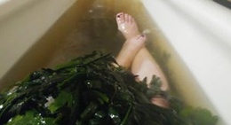 obrázek - Kilcullen's Seaweed Baths