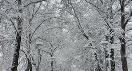 obrázek - Merinos Parkı