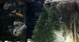 obrázek - G.H. Bass & Co.