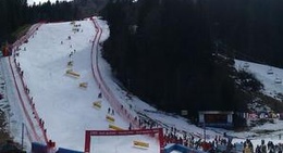 obrázek - FIS Ski World Cup Vitranc