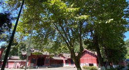 obrázek - Dujiangyan Scenic Area (都江堰风景区)