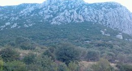 obrázek - Ambarseki