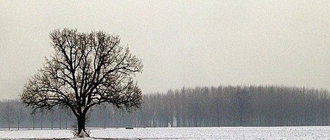 obrázek - Basiglio