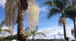 obrázek - Finca La Clarita