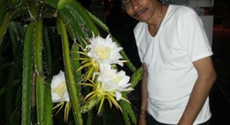 obrázek - Cadika Medan Johor