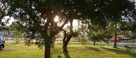 obrázek - Harkers Island