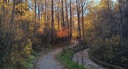 obrázek - City of St. Albert