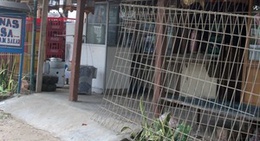 obrázek - Warnas Biasa