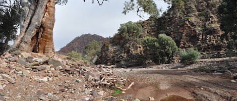 obrázek - Flinders Ranges
