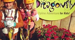 obrázek - Hocking Hills Canopy Tours