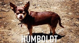 obrázek - Garberville