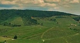 obrázek - Domaine LANYE-BARRAC