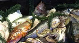 obrázek - Yelken Balık