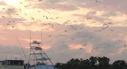 obrázek - Black Point Marina