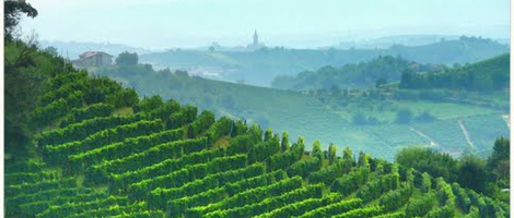 obrázek - Cisterna dʼAsti