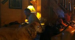 obrázek - The Lazy Trout