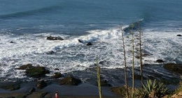 obrázek - Playa Punta de Lobos