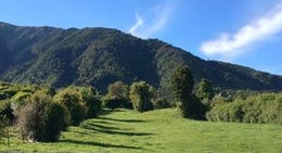 obrázek - Fyffe Palmer Scenic Reserve